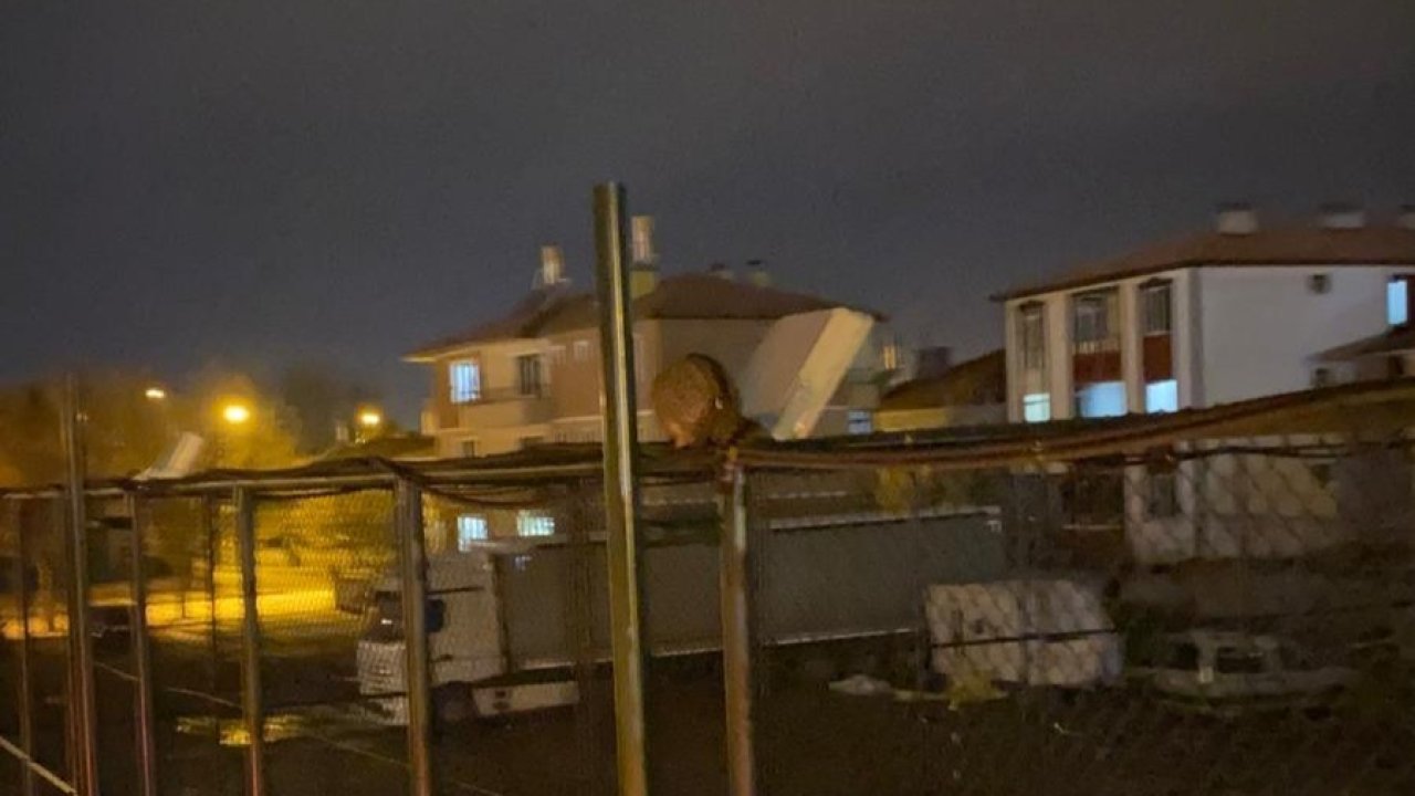 İtfaiyeden kedi kurtarma operasyonu