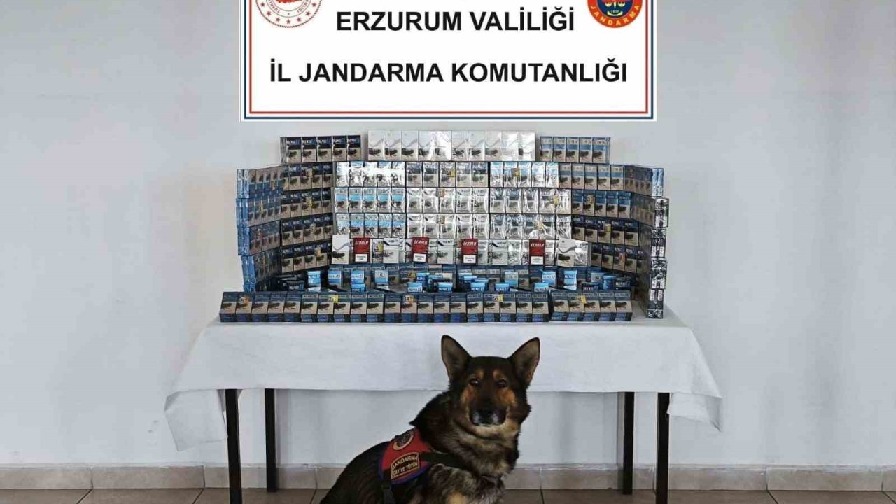 Jandarmadan kaçakçılara geçit yok