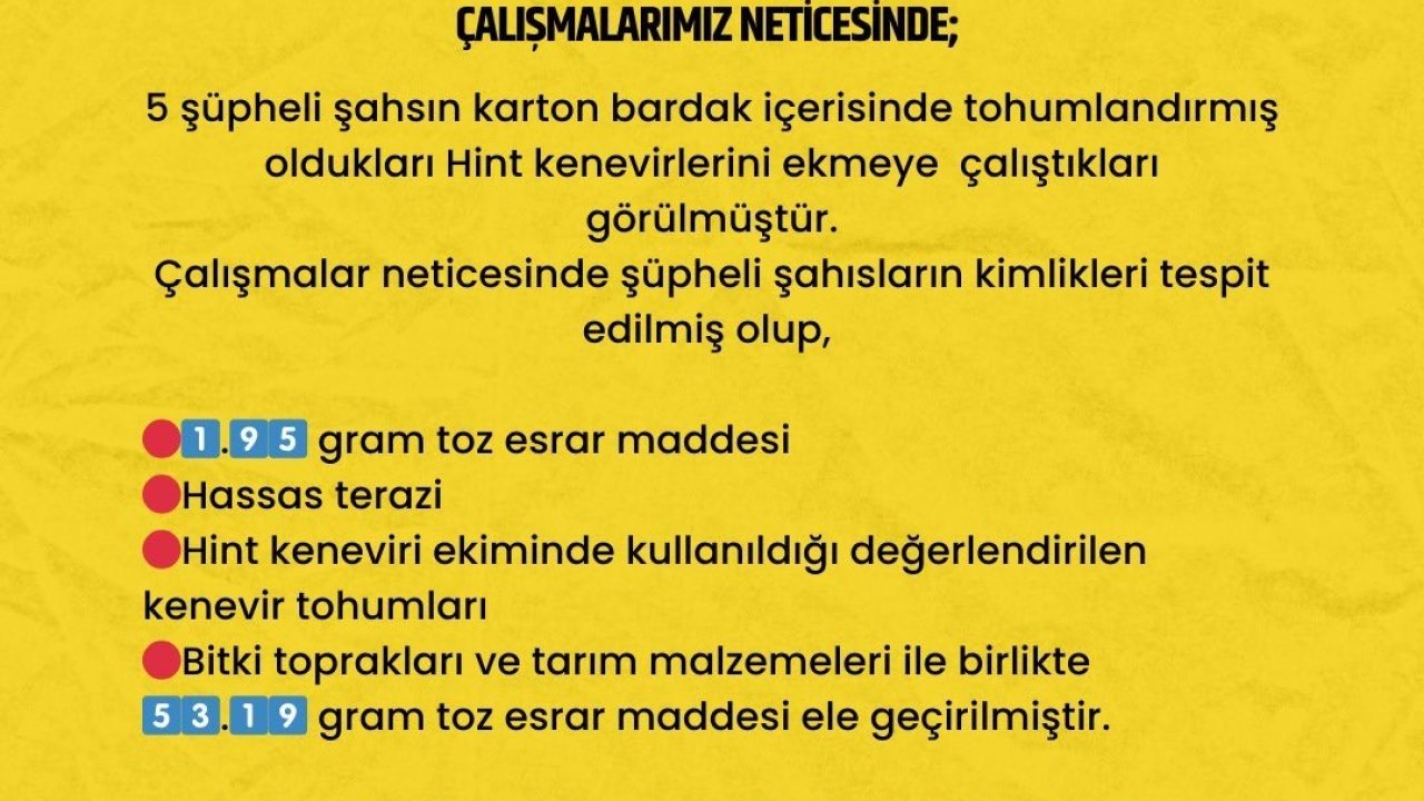 Karton bardağa yerleştirdikleri uyuşturucu tohumlarını ekmeye çalıştılar