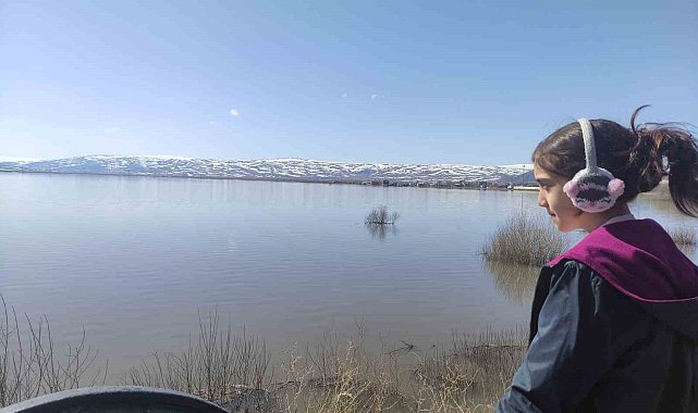 Kura Nehri taştı: Ardahan Ovası göle döndü