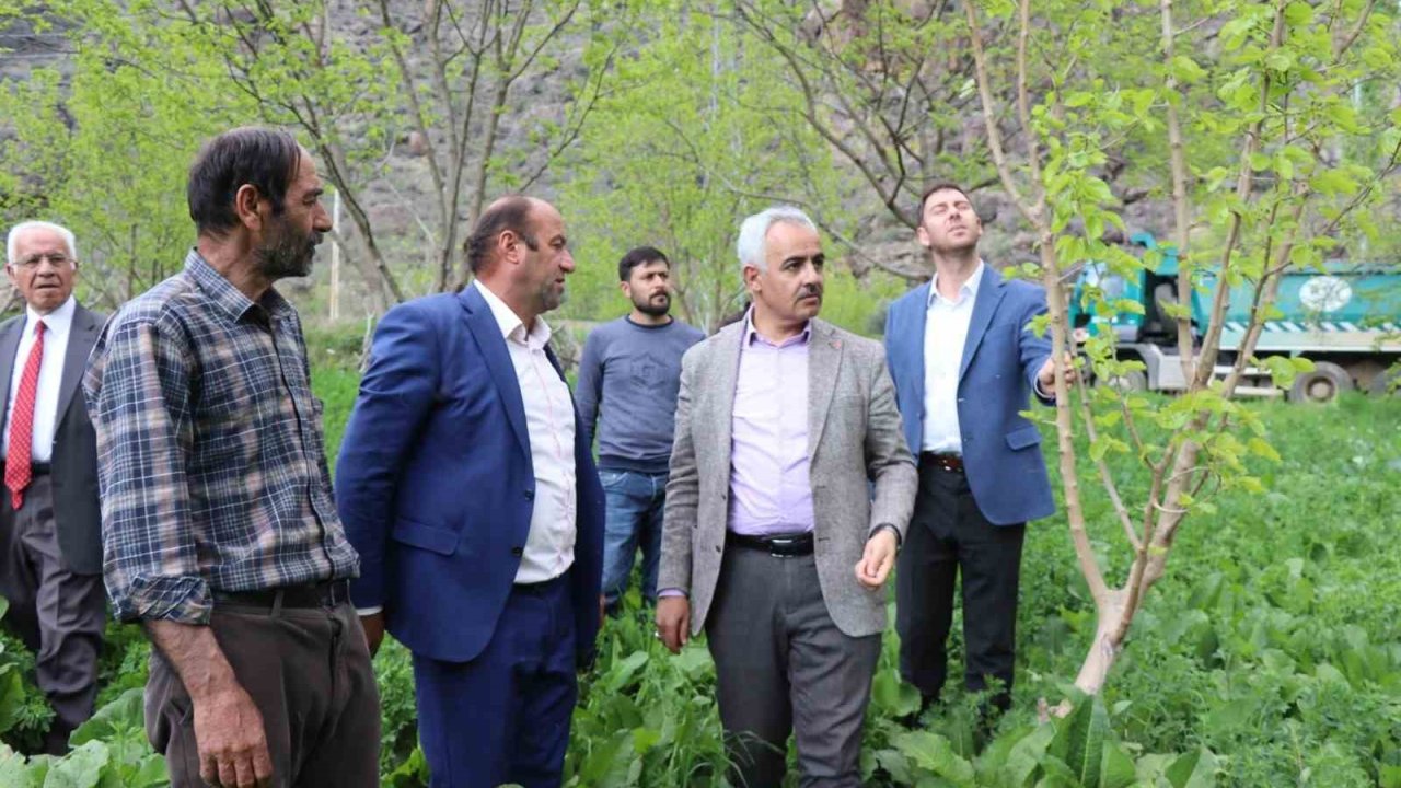 ’Meyve deposu’ Ayvalı Mahallesi’nde don meyve ağaçlarına zarar verdi