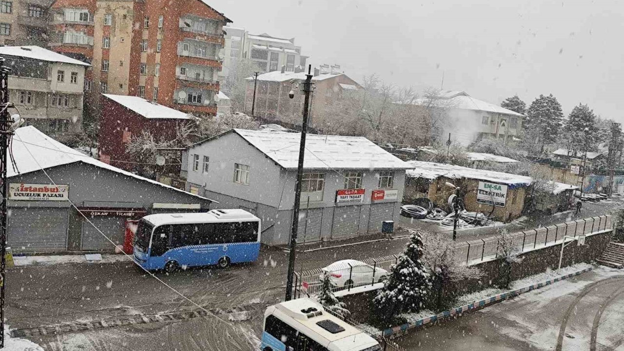 Nisanda lapa lapa kar yağışı
