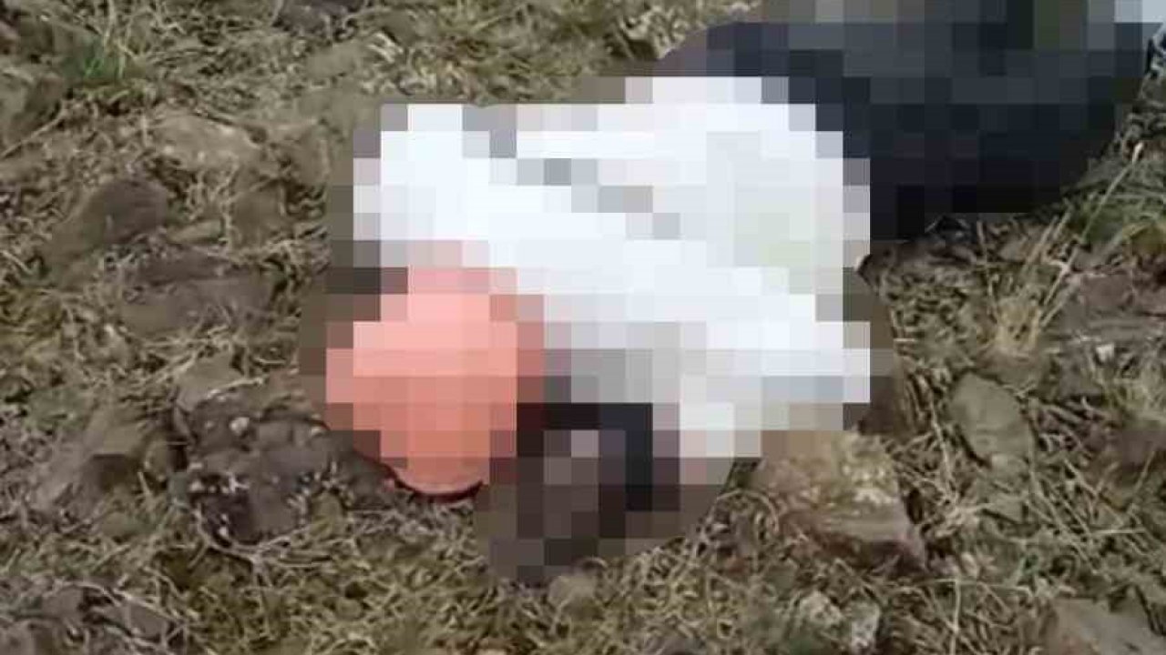 Özalp kırsalında erkek cesedi bulundu