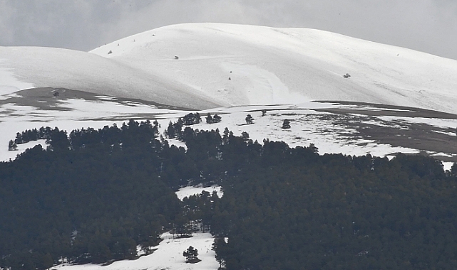 Sarıkamış'ın yüksek kesimlerinde kar etkili oldu