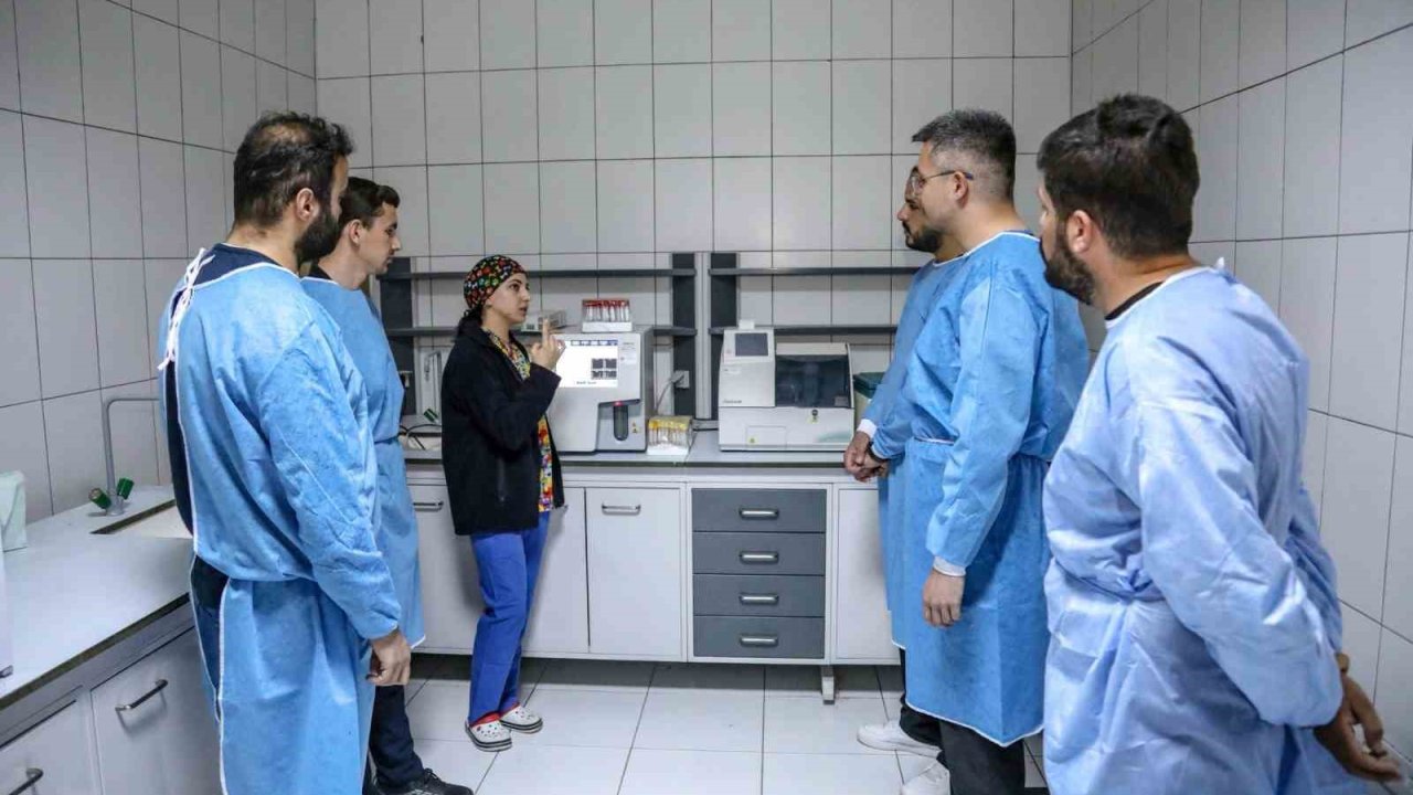 Üniversite öğrencileri hayvan bakım evinde uygulamalı eğitim alıyor