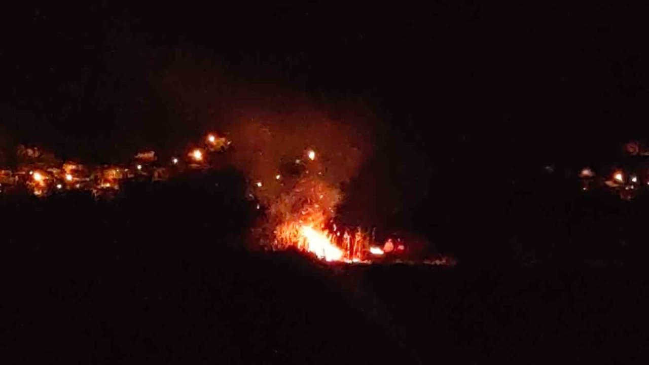 Van’da birçok kuş türüne ev sahipliği yapan sazlık alan yandı