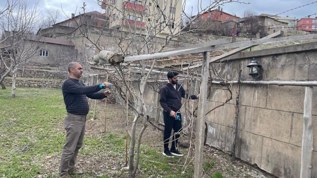 Yüksekova’da ağaçlar budandı, uygulamalı eğitim verildi