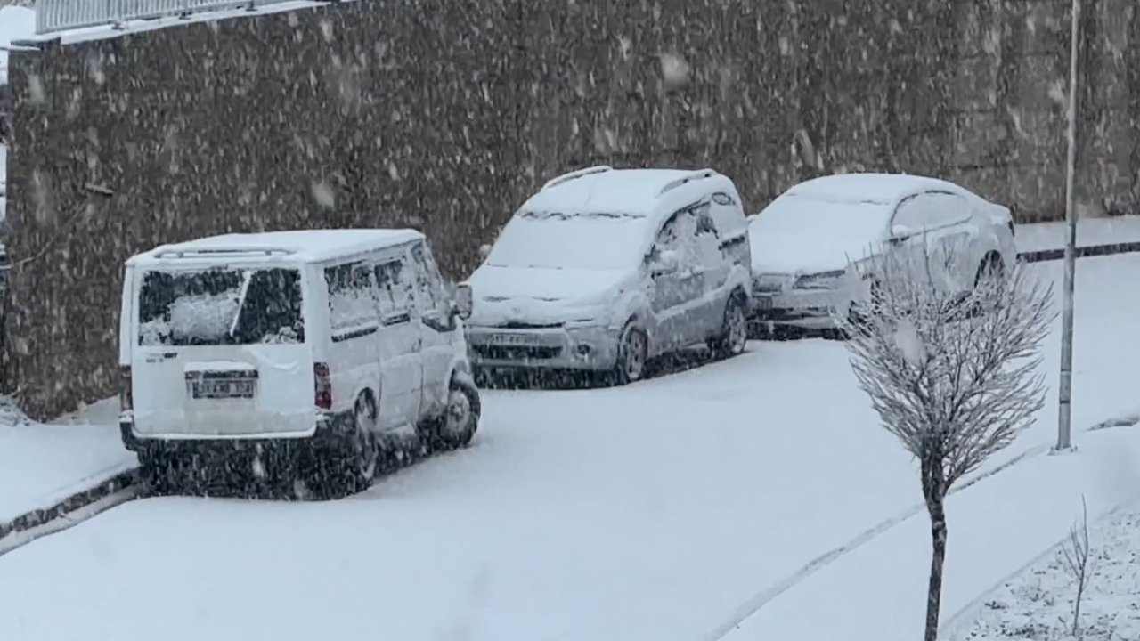 Yüksekova’da nisan ayında lapa lapa kar yağışı