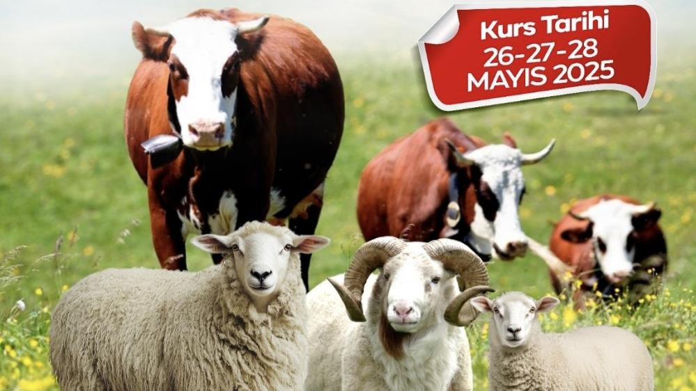 Belediye kurban kesim kursu düzenliyor