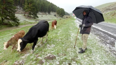 Sarıkamış’ta besicilerin dolu ile imtihanı