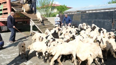 Erzincan’da yayla sezonu açıldı