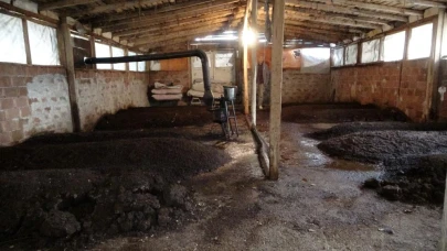 Sıvı solucan gübresi tarımda verimi artırıyor