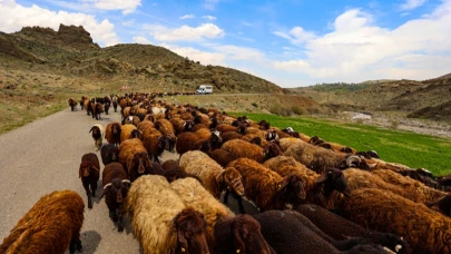 Iğdırlı göçerlerin yayla yolculuğu başladı