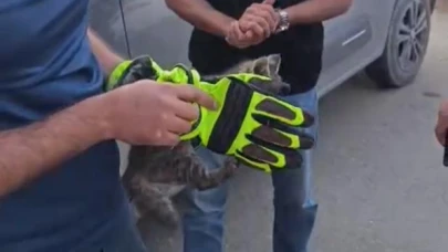 Aracın motor kısmında sıkışan yavru kedi kurtarıldı