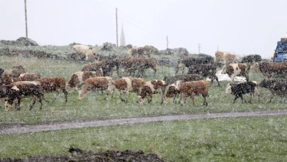 Besiciler kırsalda kara hazırlıksız yakalandı
