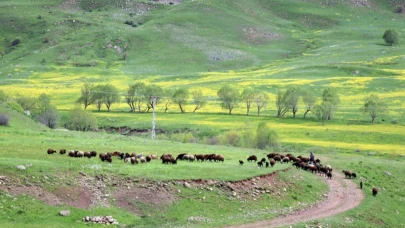Ağrı'nın dağları renklendi