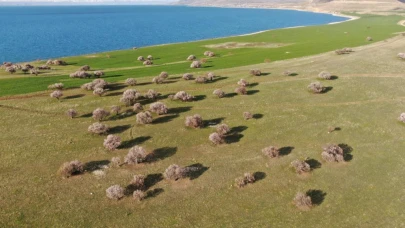 Çarpanak yarımadası doğaseverlerin yeni rotası oldu
