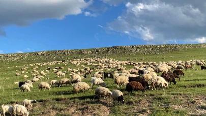 Doğayla iç içe üretimin sessiz tanıkları