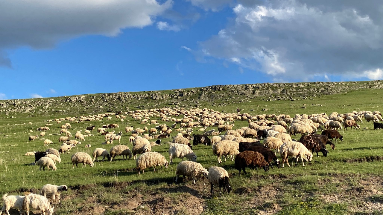 Doğayla iç içe üretimin sessiz tanıkları