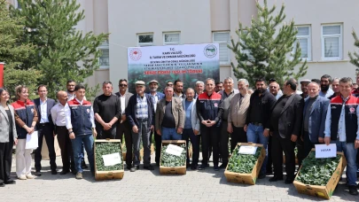 Karsı üreticilere sebze fidesi dağıtıldı