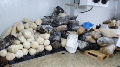 Erzincan Tulum Peyniri Avrupa Birliği coğrafi işareti aldı