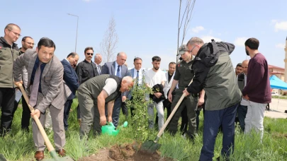 Fidanlar toprakla buluştu