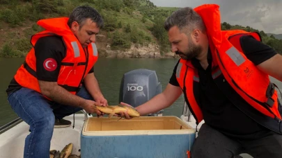 Karakurt Baraj Gölü’nde saha çalışması