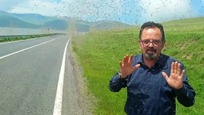 Çıldır Gölü kıyısını sinekler istila etti