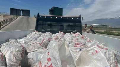 Ağrı’da 2 ton kaçak inci kefali ele geçirildi