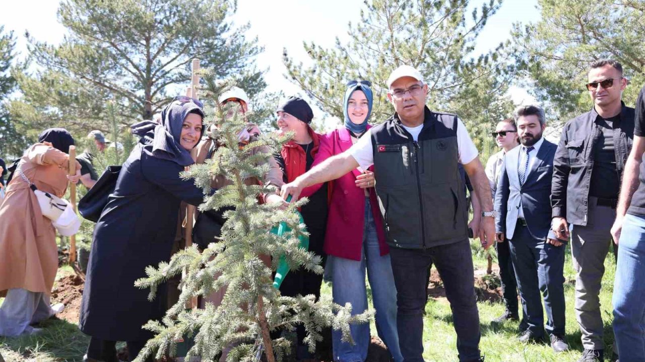 Ağrı’da "Orman Benim" kampanyası kapsamında fidan dikimi ve orman temizliği etkinliği düzenlendi