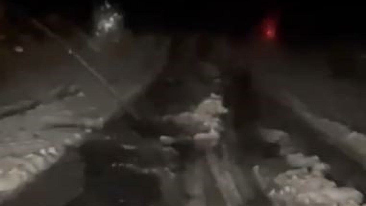 Ardahan’da dolu etkili oldu