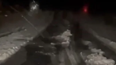 Ardahan’da dolu etkili oldu