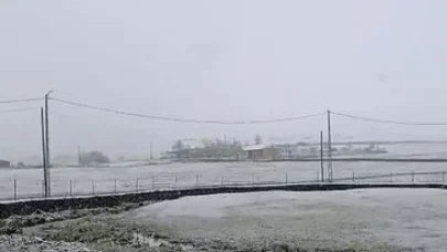 Ardahan’da mayıs ayında kar sürprizi