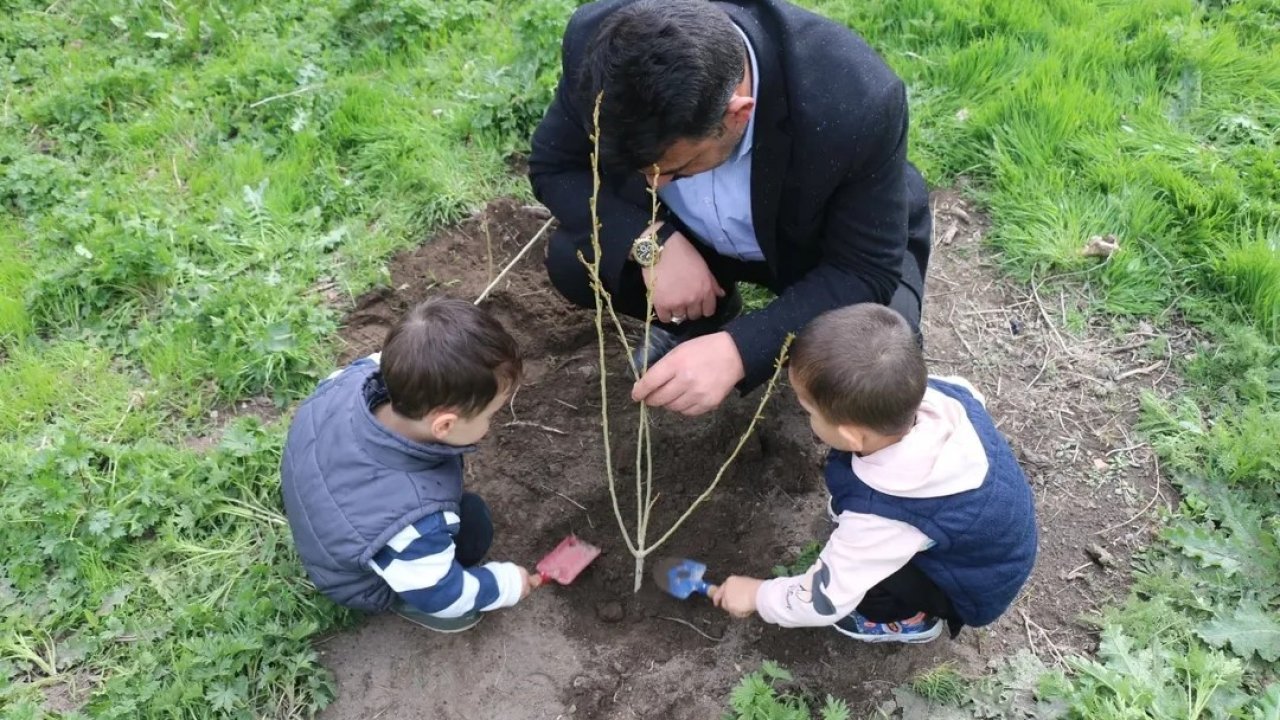 Ağrı'da camii bahçesine  fidan dikildi