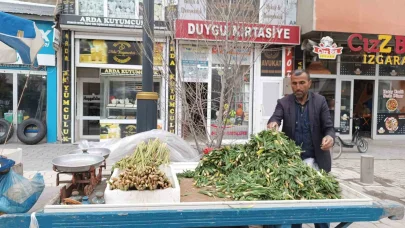 Diyadin’de baharın müjdecisi ışkın ve çiriş tezgahları süslüyor