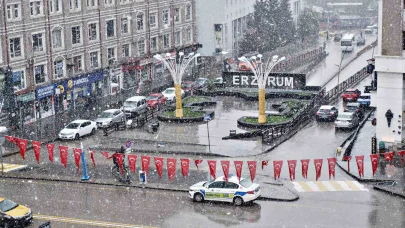 Erzurum güne kar yağışı ile uyandı