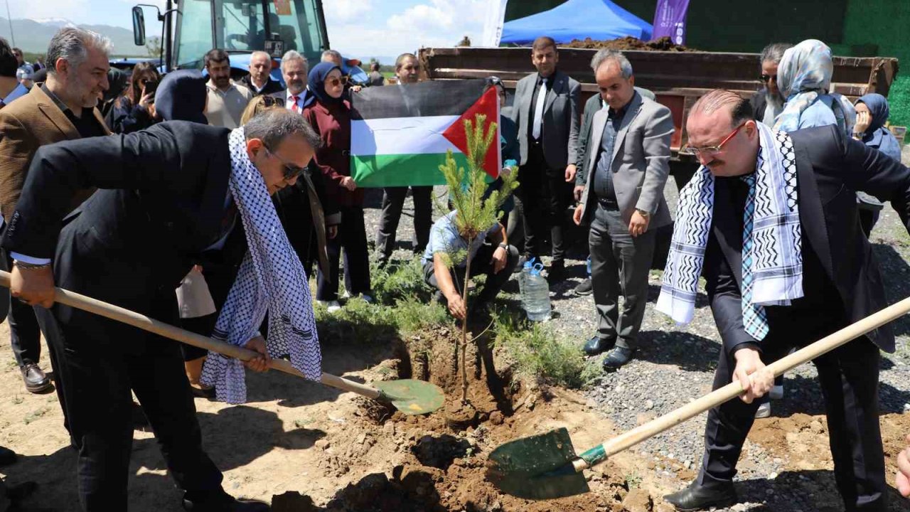 Gazze hatıra ormanında umut yeşerecek