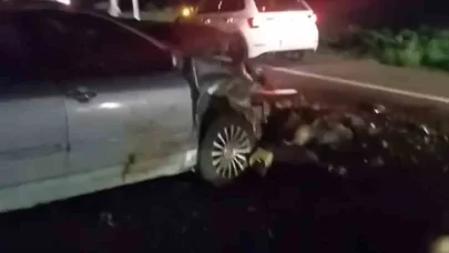 Iğdır’da otomobil hayvan sürüsüne çarptı: 25 koyun telef oldu