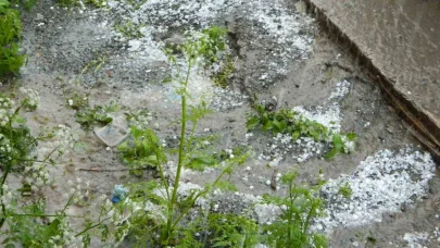 Posof’ta dolu etkili oldu