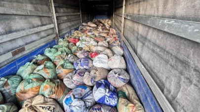 Van'da 22 ton 475 kilogram kaçak avlanmış inci kefali ele geçirildi