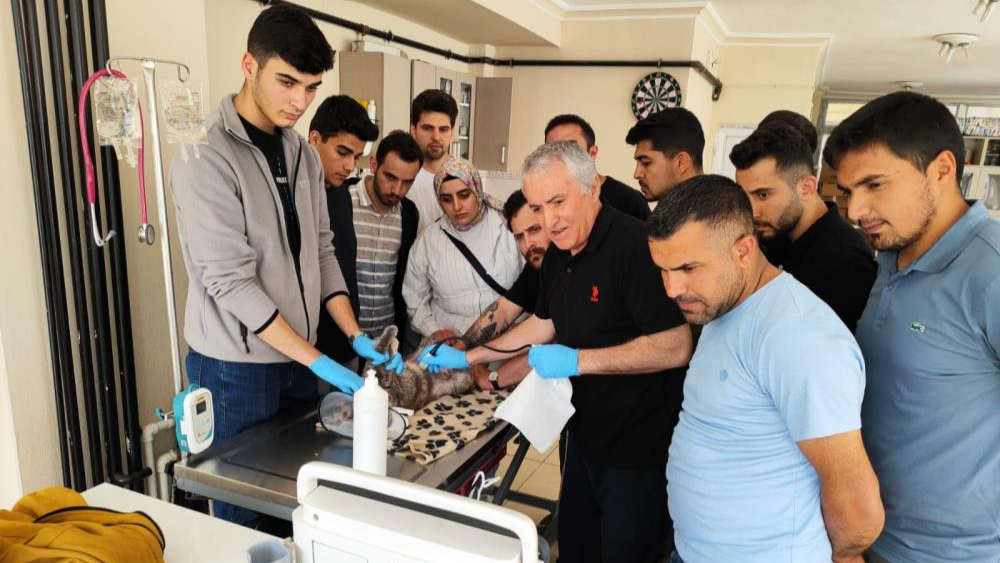 "İneklerde Rektovaginal Yöntemle Suni Tohumlama" kursu tamamlandı