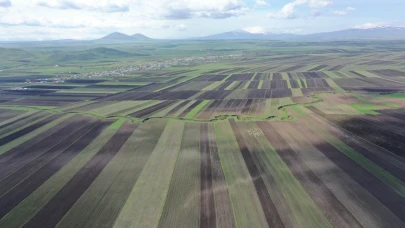 "Bu yıl Kars'ta tarlalar güneş açacak"