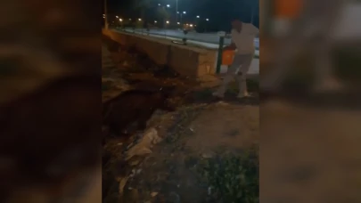Iğdır’da yürüyüş yapan gençler, kanaldaki yaban domuzlarını kurtardı