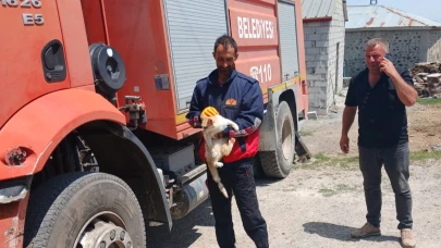 Elektrik direğinde mahsur kalan kediyi itfaiye kurtardı