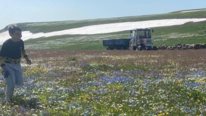 Ardahan'da iki mevsim bir arada