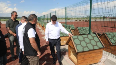 Sokak Hayvanları Doğal Yaşam Alanı hizmete açılıyor