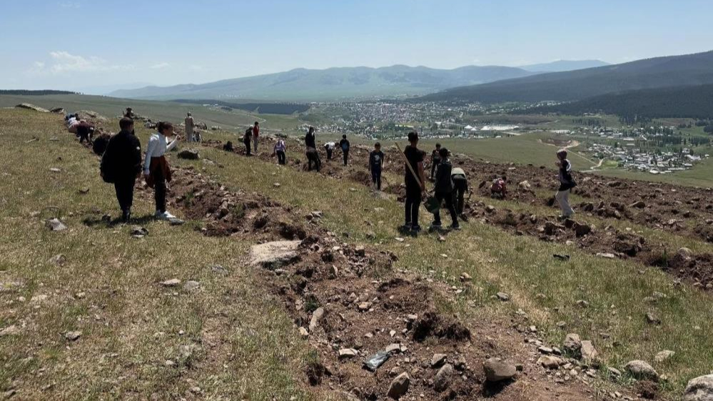 Sarıkamış’ta 2 bin fidan toprakla buluştu