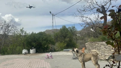 Köpeğin dron ile imtihanı güldürdü