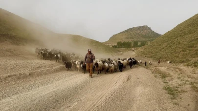 Sürülerin tozlu yolculuğu başladı