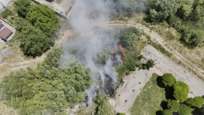 Adilcevaz'da Van Gölü sahilinde yangın paniği: Kafe yakınında sazlık alan yangını
